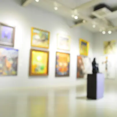 Museum of Fine Arts, Houston