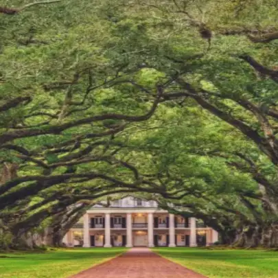 Discovery Green Park