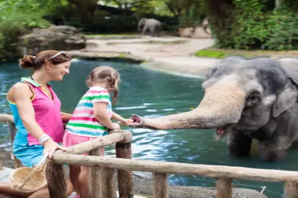 Hotels near Houston Zoo